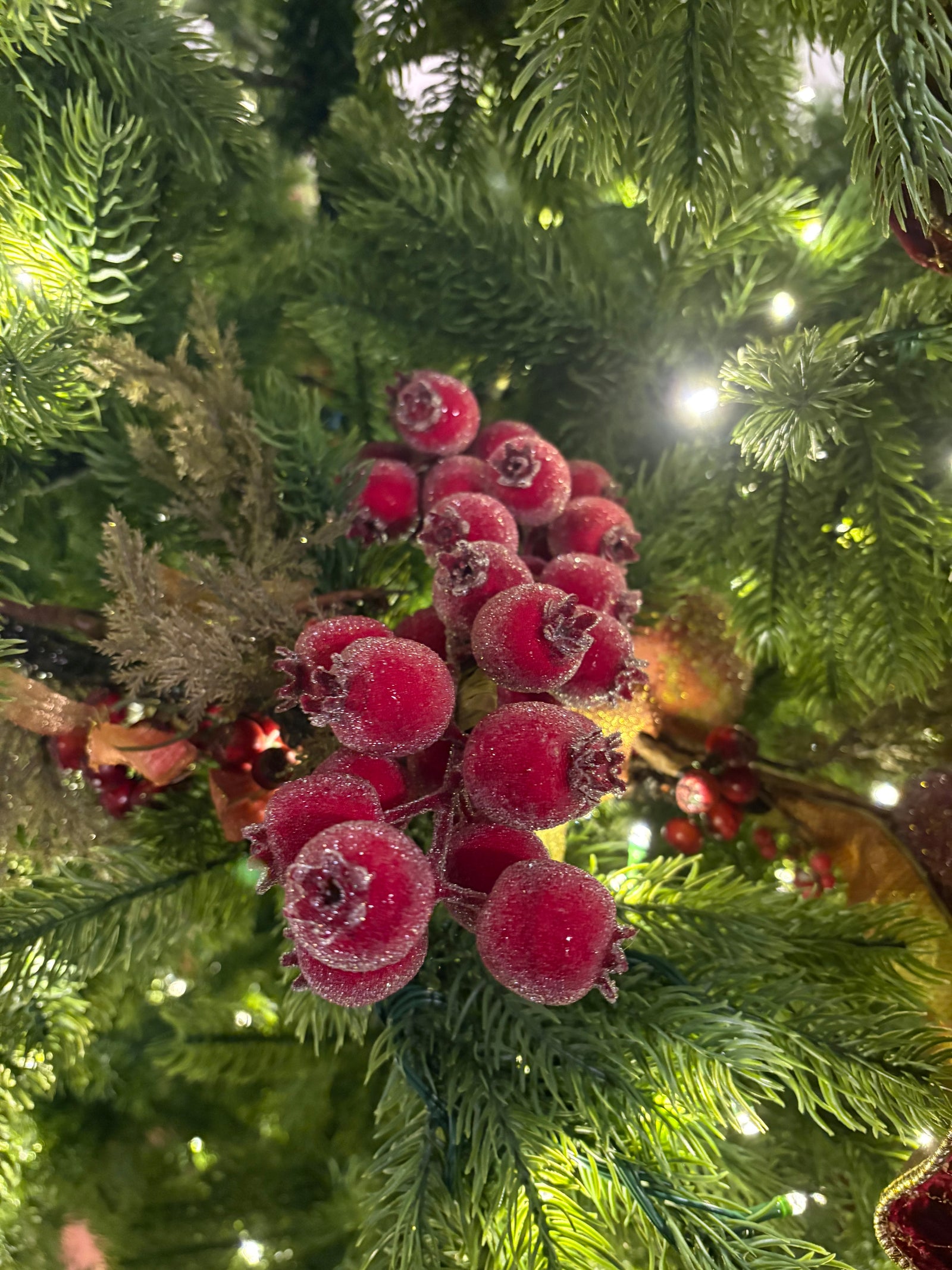 Frosted Winter Berry Spray