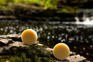 Sea Salt & Twig Shampoo + Shave Bar - Drench