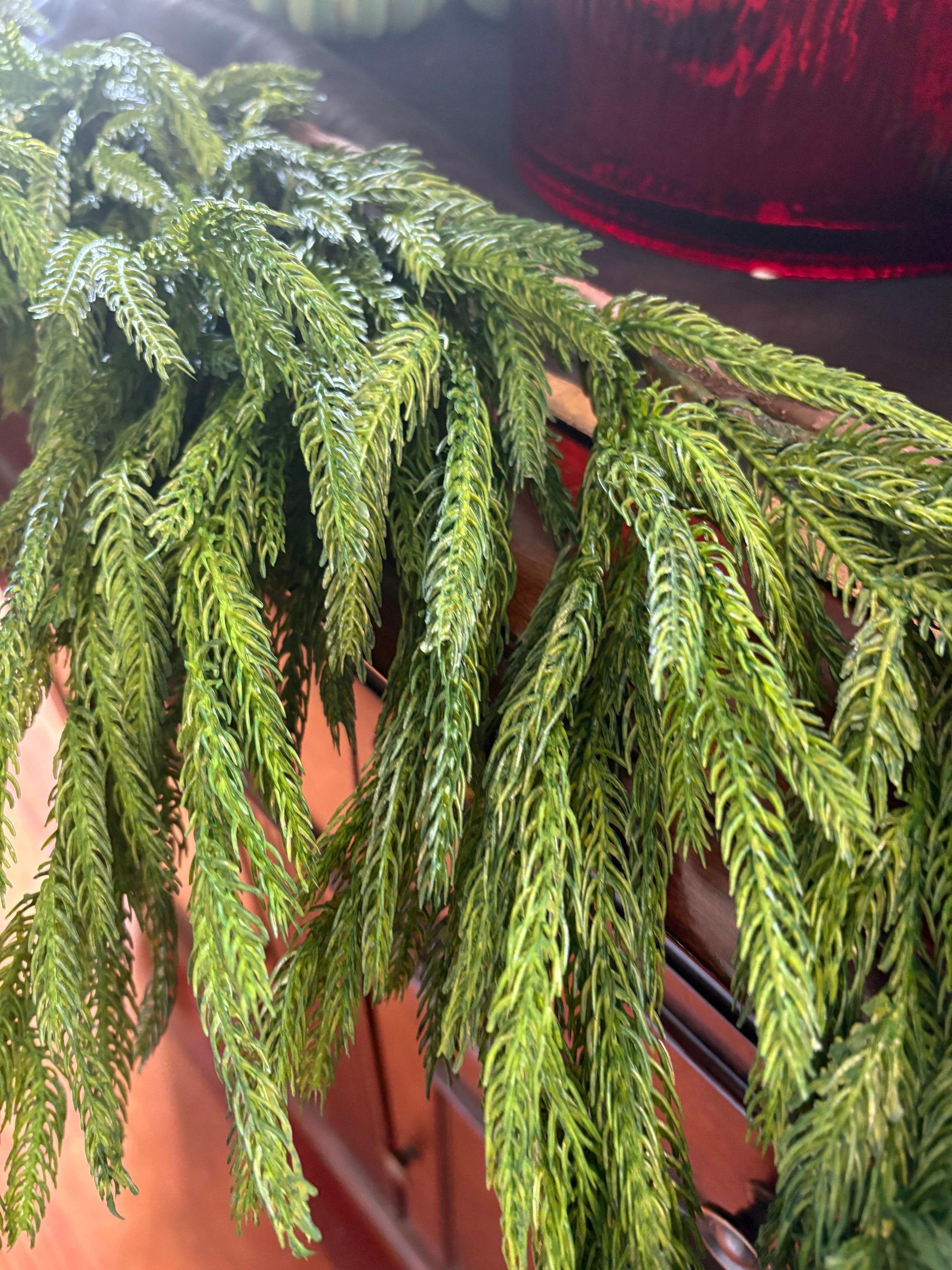 Fresh Touch Norfolk Dripping Pine Garland