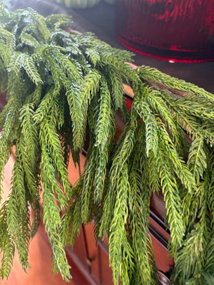 Fresh Touch Norfolk Dripping Pine Garland