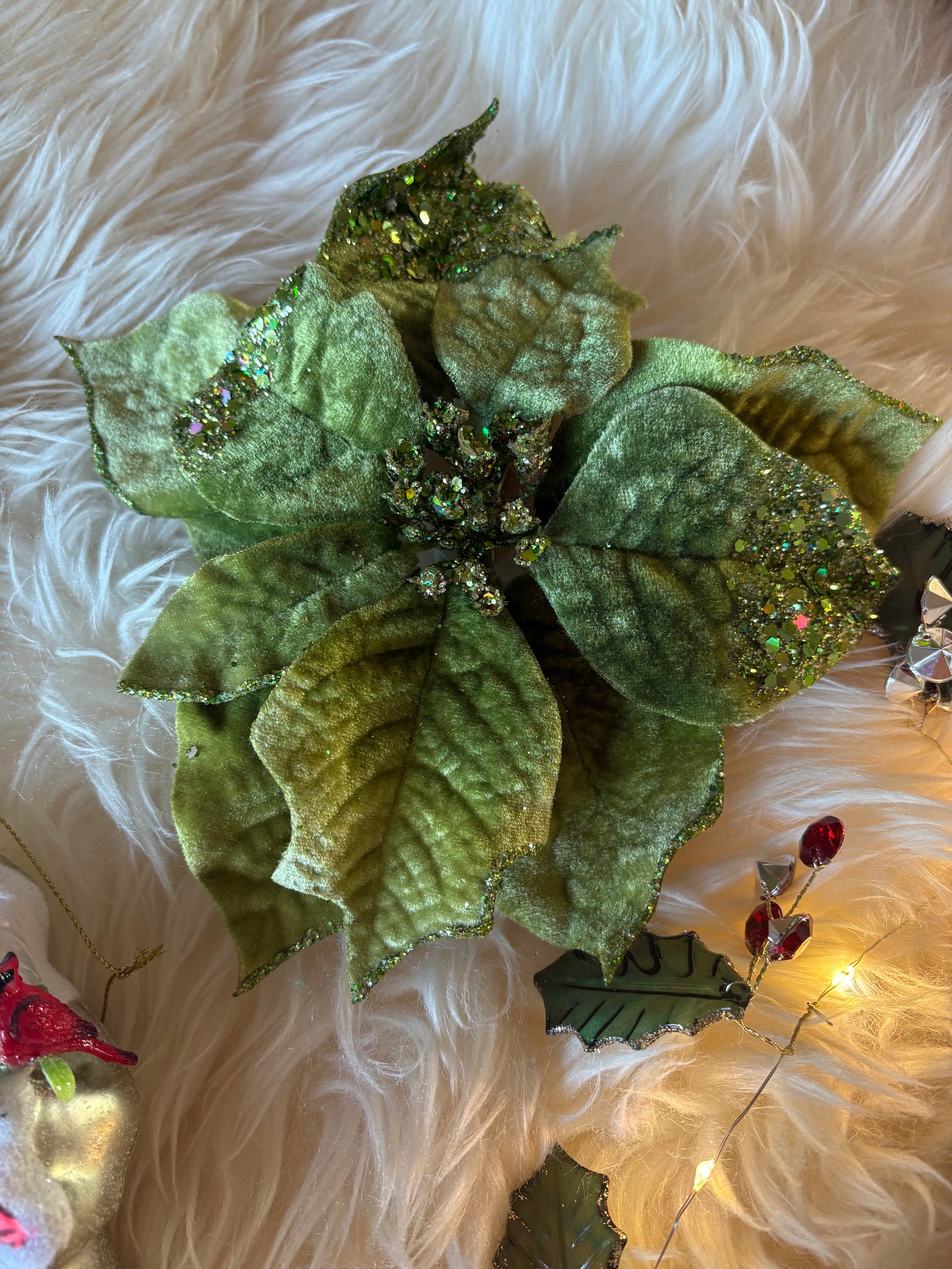 Chartreuse Poinsettia