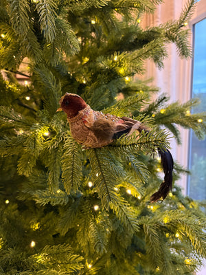 Gilded Songbird Clip Ornament