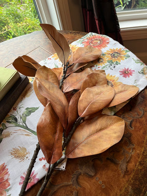 Magnolia Leaf Sprig