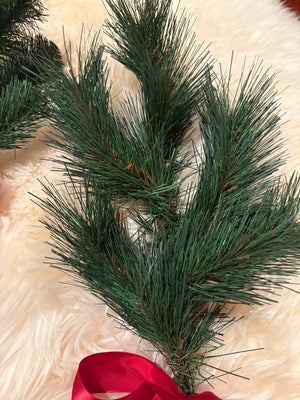 Australian Pine Evergreen Spray