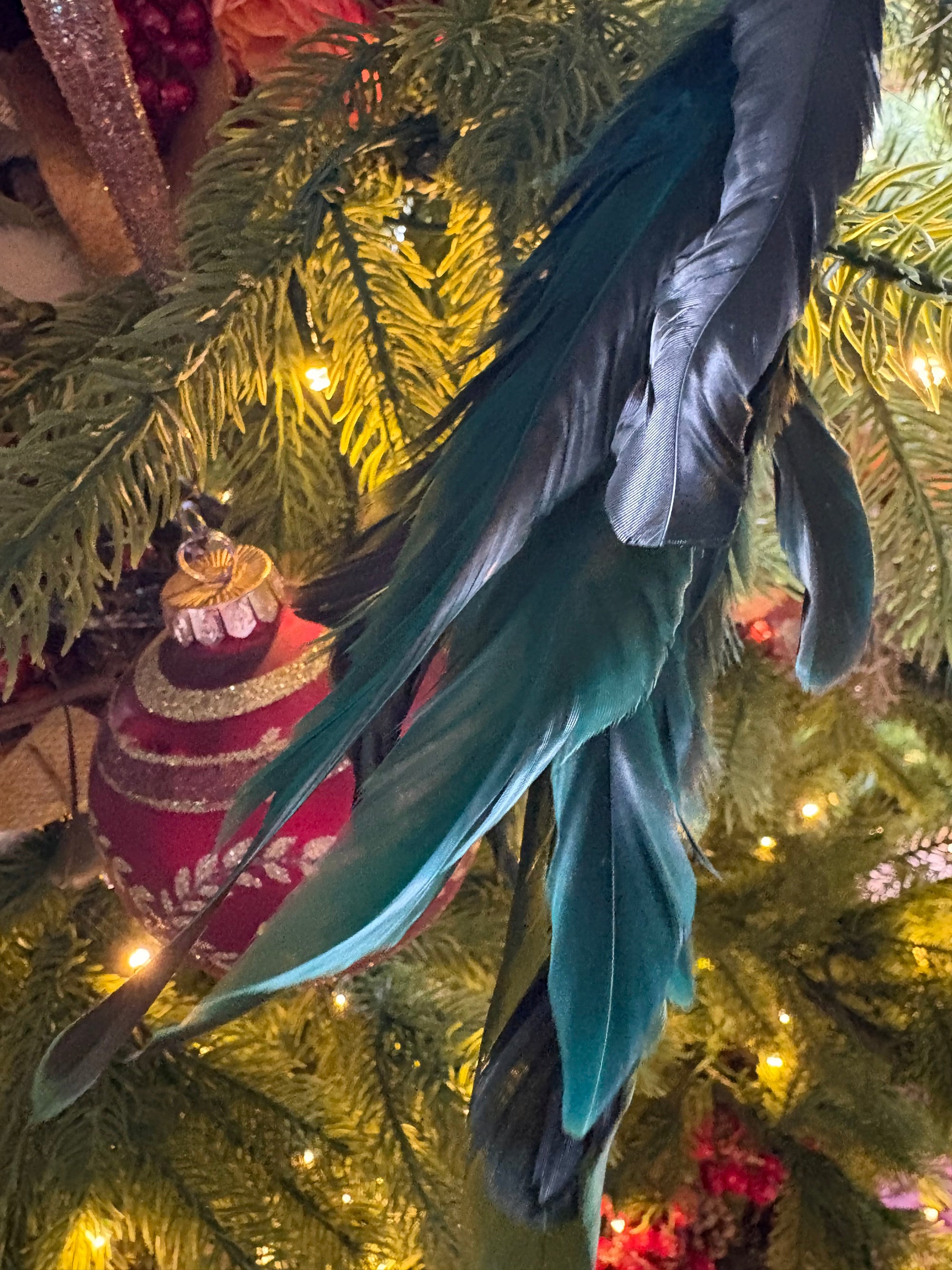 Jewel Teal Feather Peacock Clip Ornament