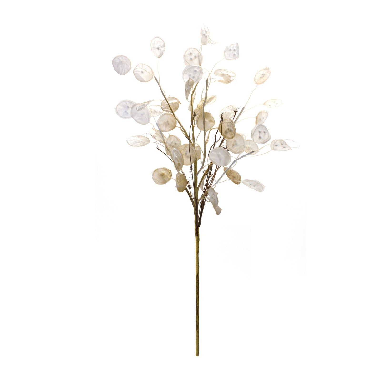 Antique Silver Dollar Spray