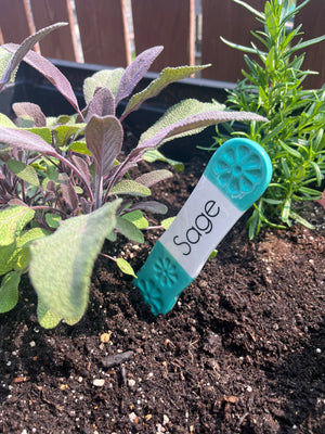 Summer Garden Herb Markers