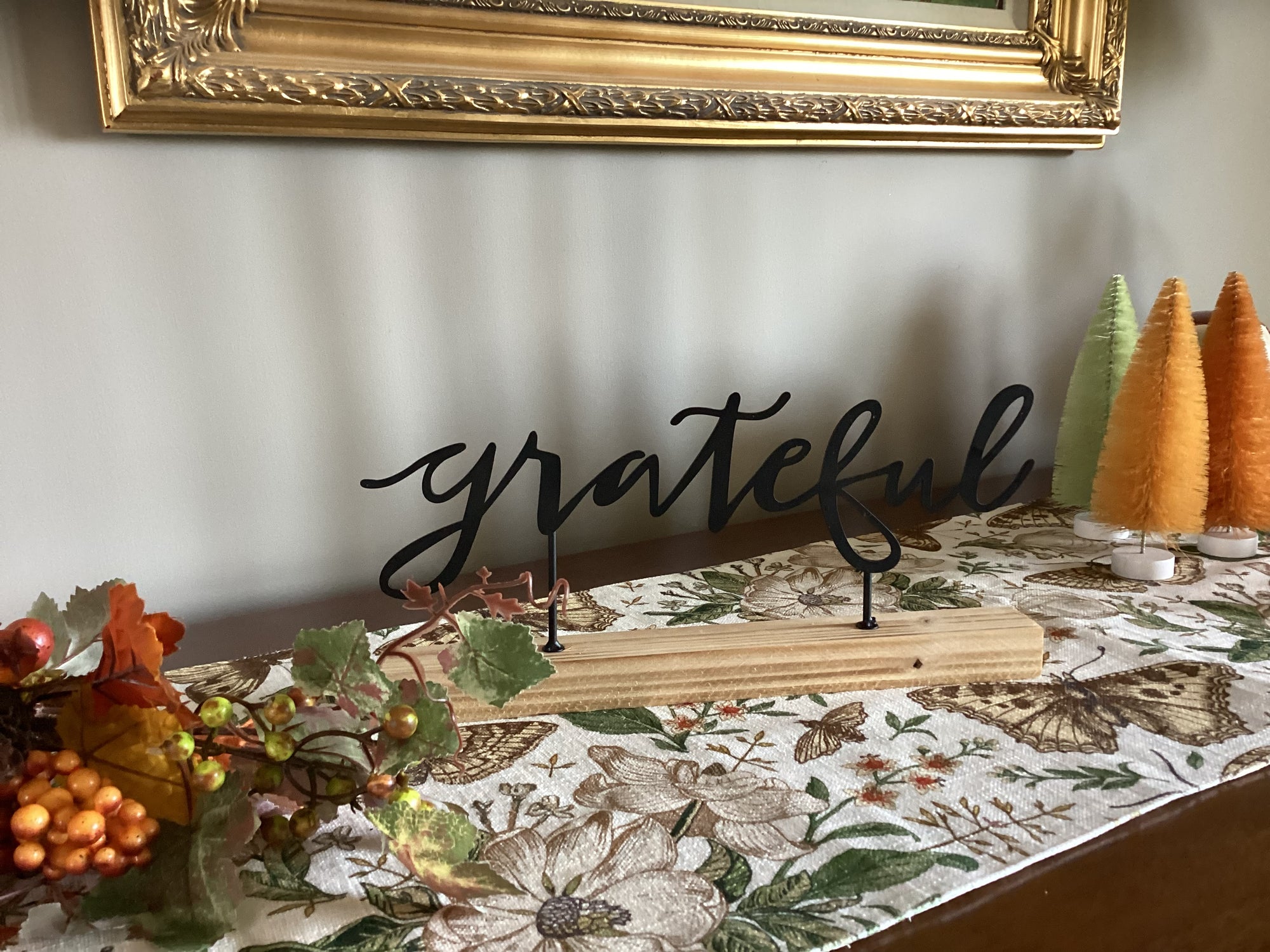 Grateful Shelf Sitter