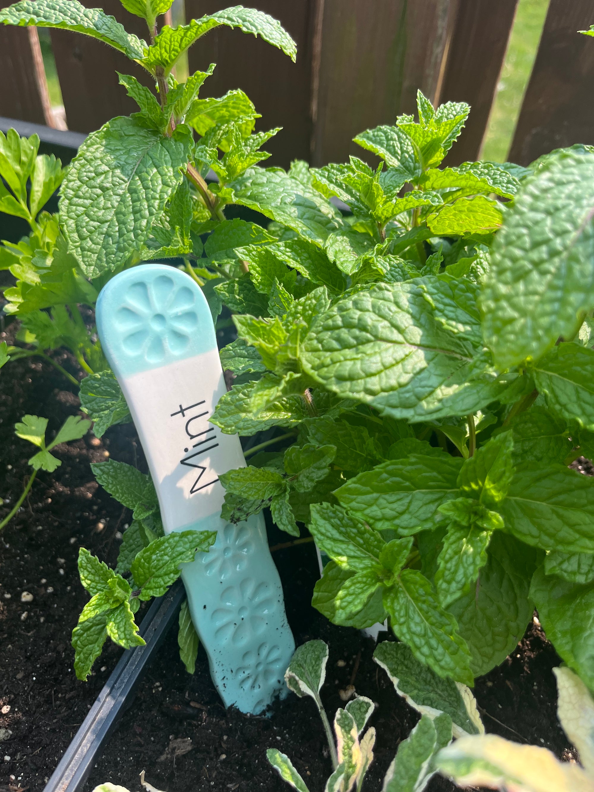 Summer Garden Herb Markers