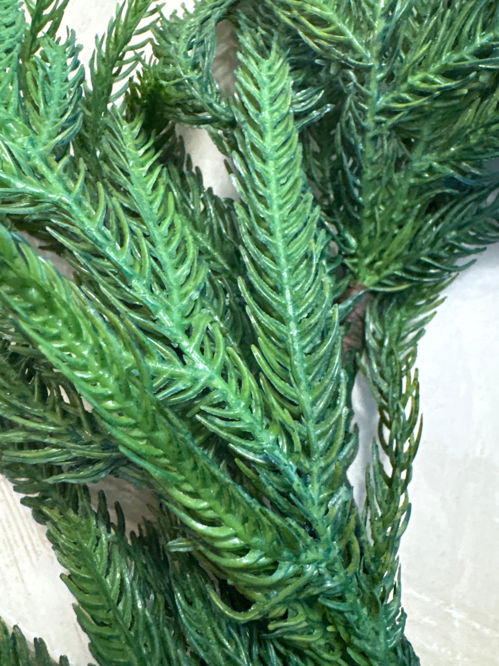 Fresh Touch Norfolk Pine Cabinet Wreath/Candle Ring