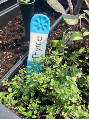 Summer Garden Herb Markers