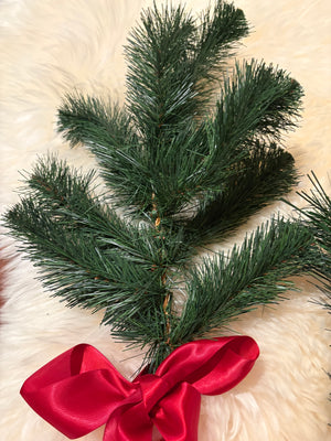 Australian Pine Evergreen Spray