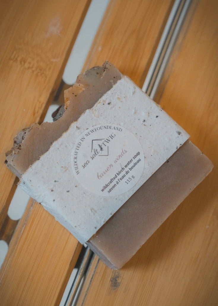 Sea Salt & twig Infused Soap - Barren Winds