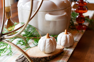 Harvest Pumpkin Salt and Pepper Shakers