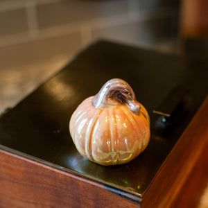 Iridescent Mini Pumpkins