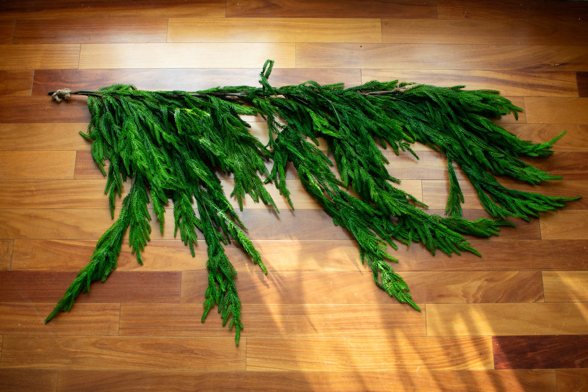 40" Fresh Touch Norfolk Dripping Pine Garland - Extra Full