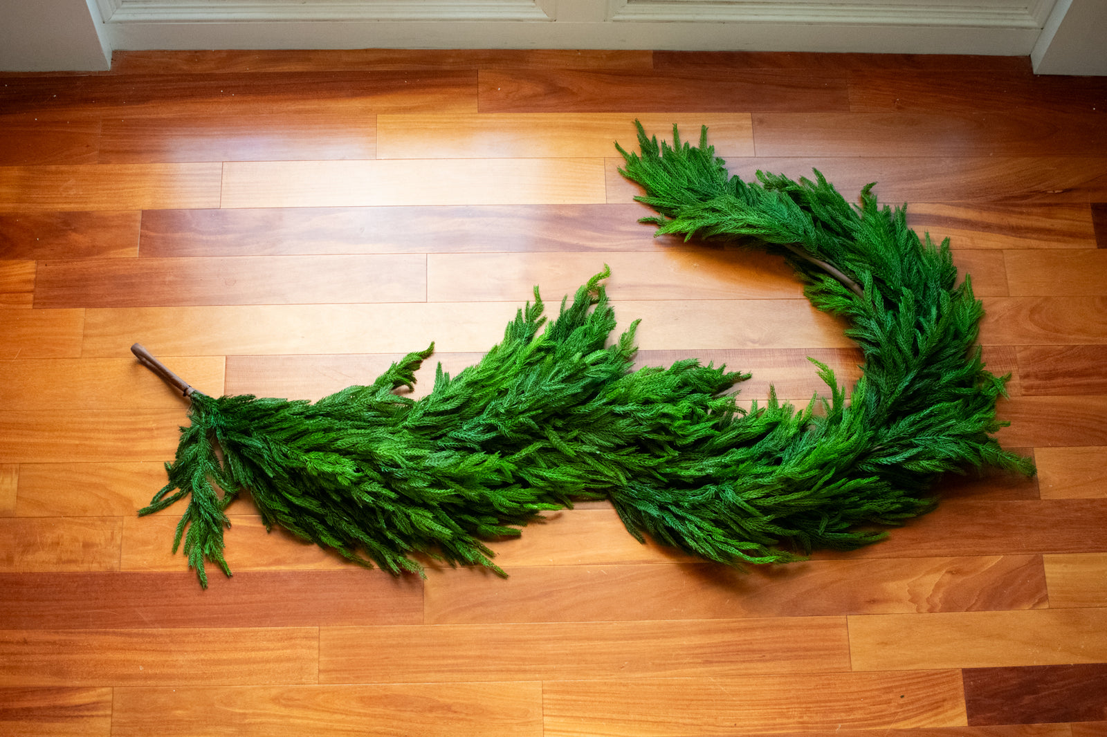 Fresh Touch Thick Norfolk Pine Garland - Extra Full - 77"