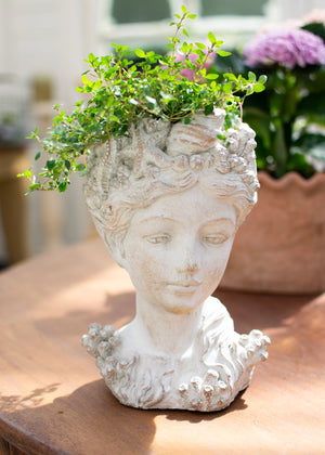 Sea Maiden Planter