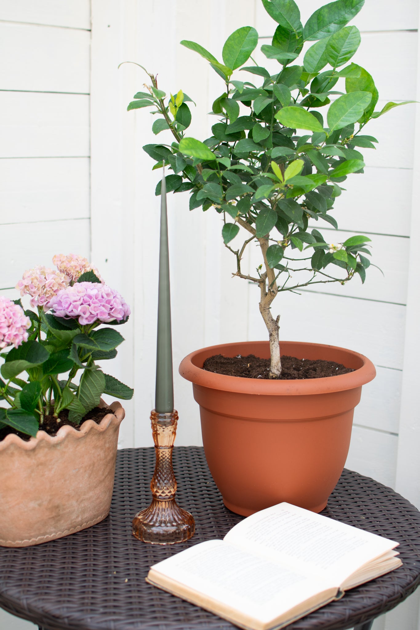 Palazzo Candle Holder - Amber