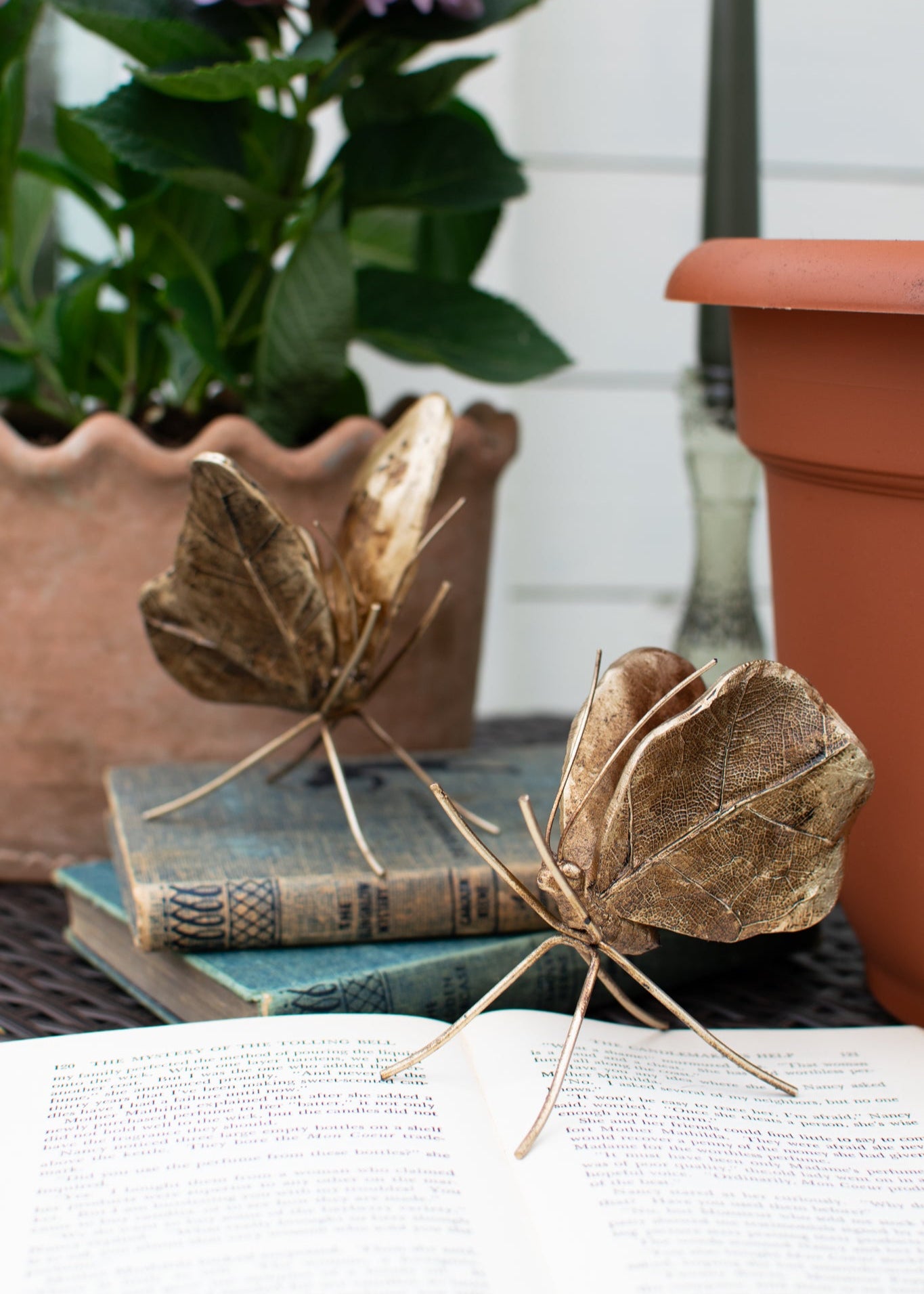 Bronze Conservatory Butterflies