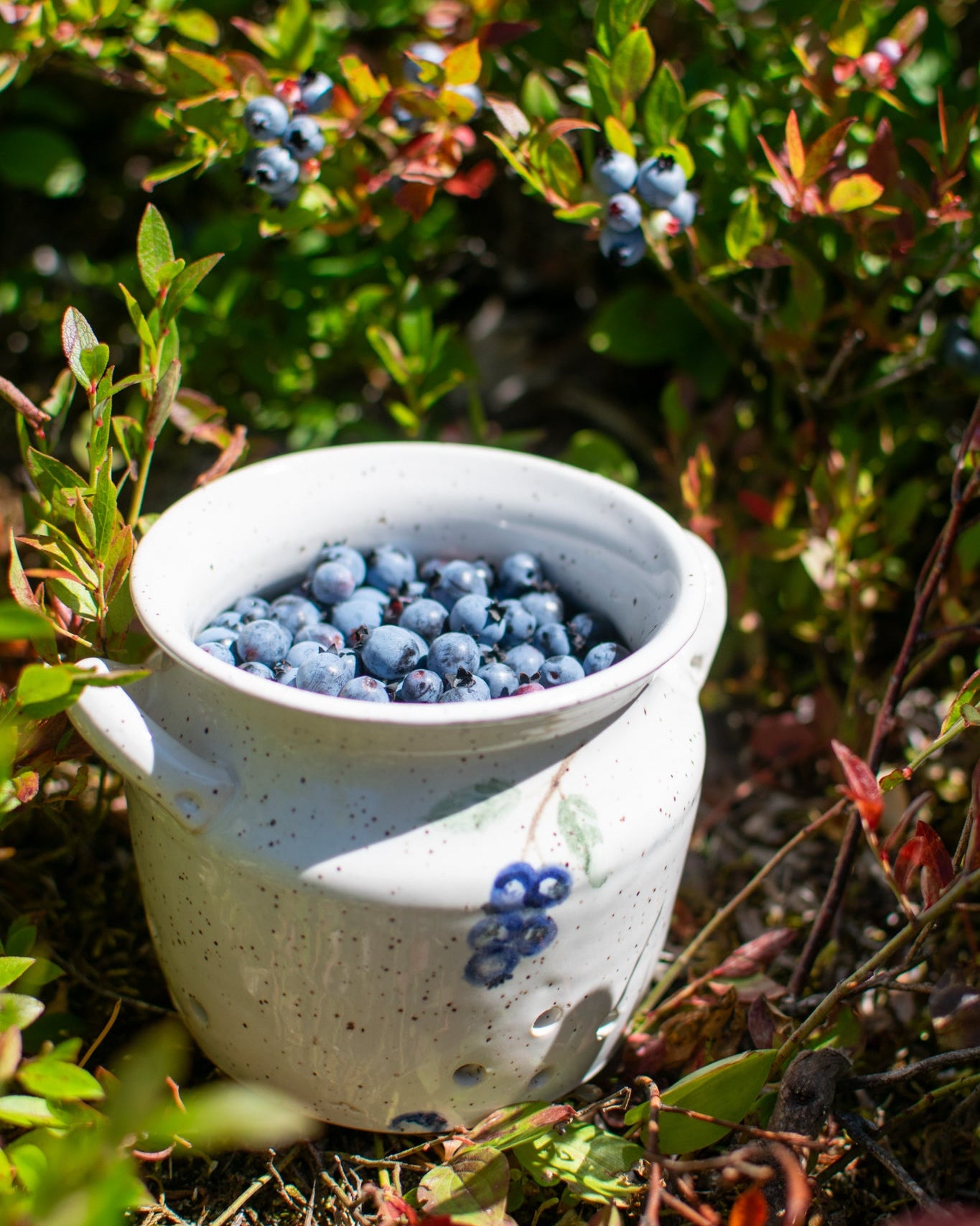 Snowglaze Wild Blueberry Colander - Handcrafted Pottery