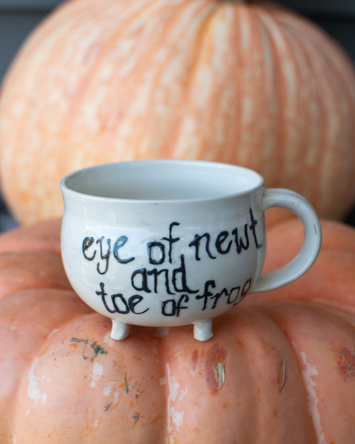 Cauldron Rhyme Mug - " Eye of Newt & Toe of Frog"