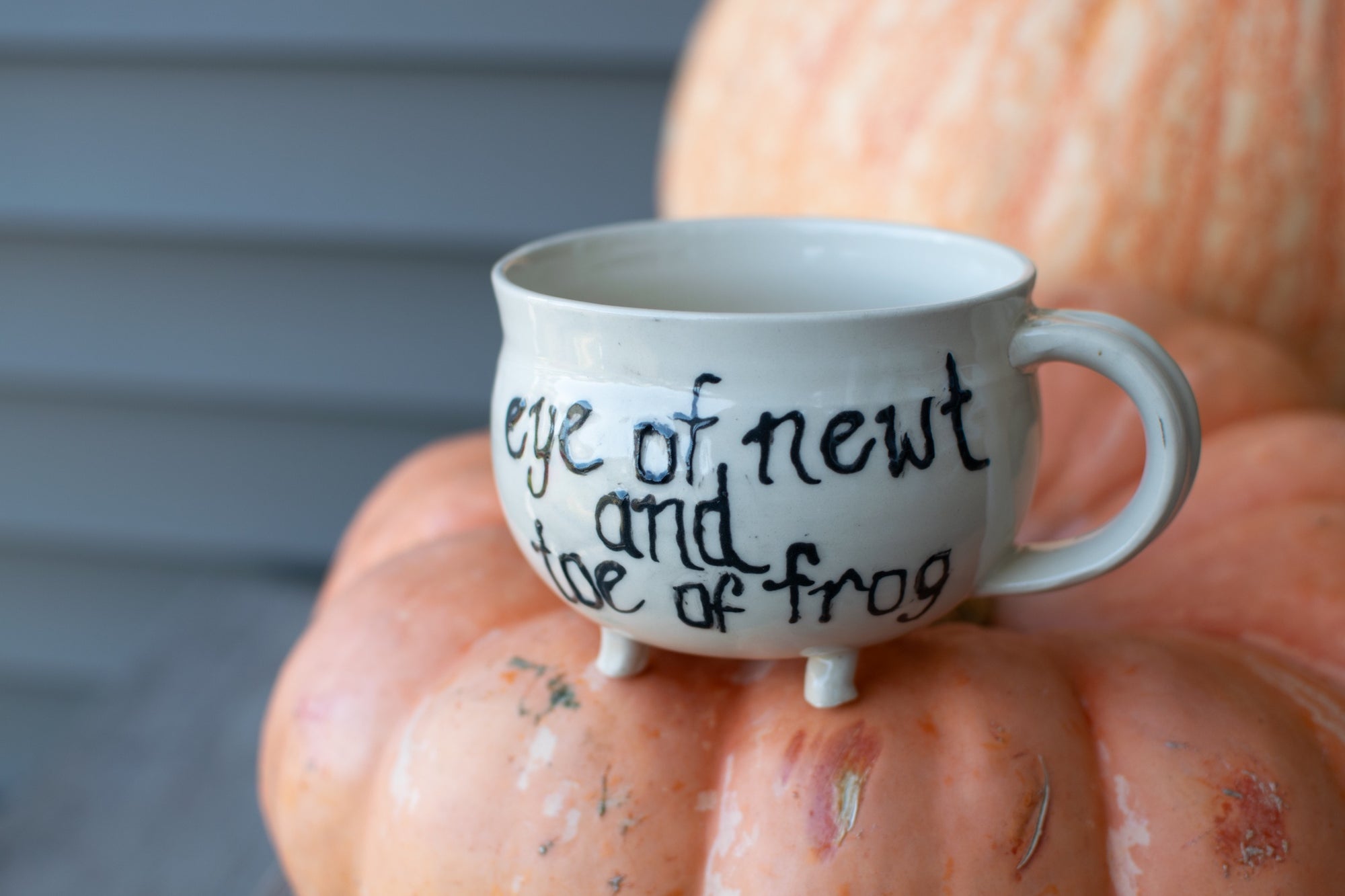 Cauldron Rhyme Mug - " Eye of Newt & Toe of Frog"