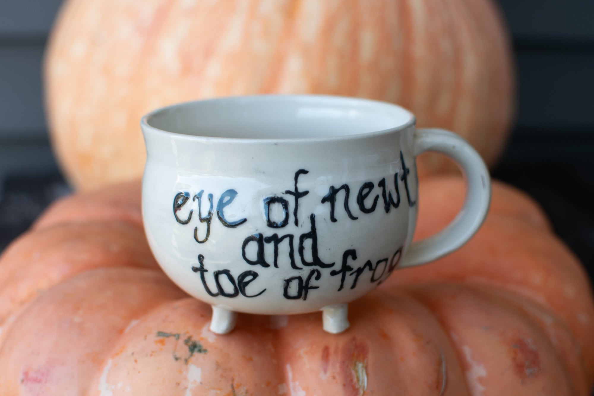 Cauldron Rhyme Mug - " Eye of Newt & Toe of Frog"