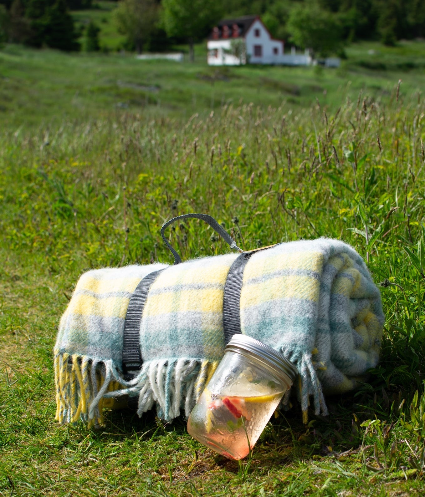 Cottage Ocean Polo Picnic Rug