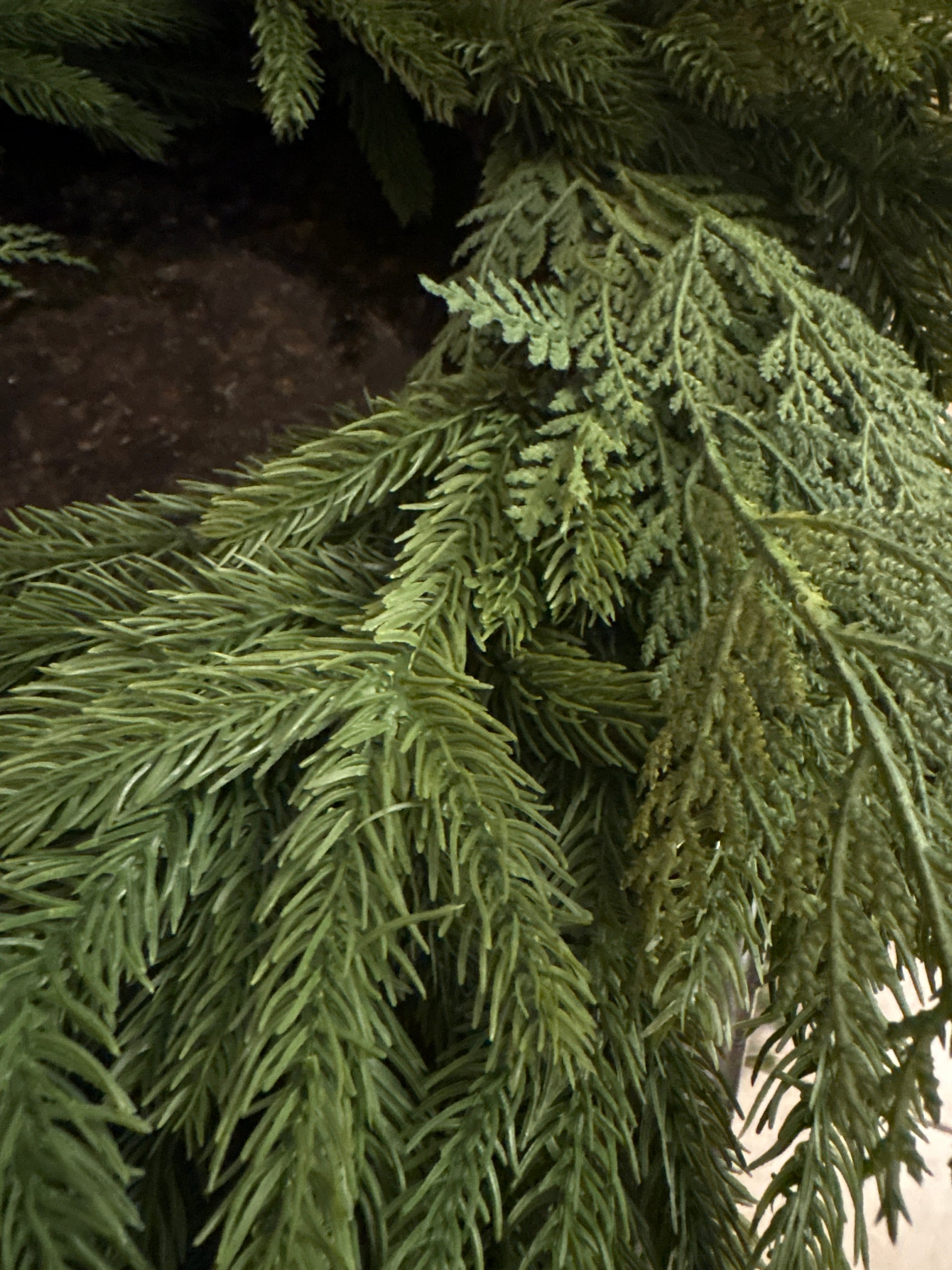 Whispering Spruce and Cedar Wreath 24"