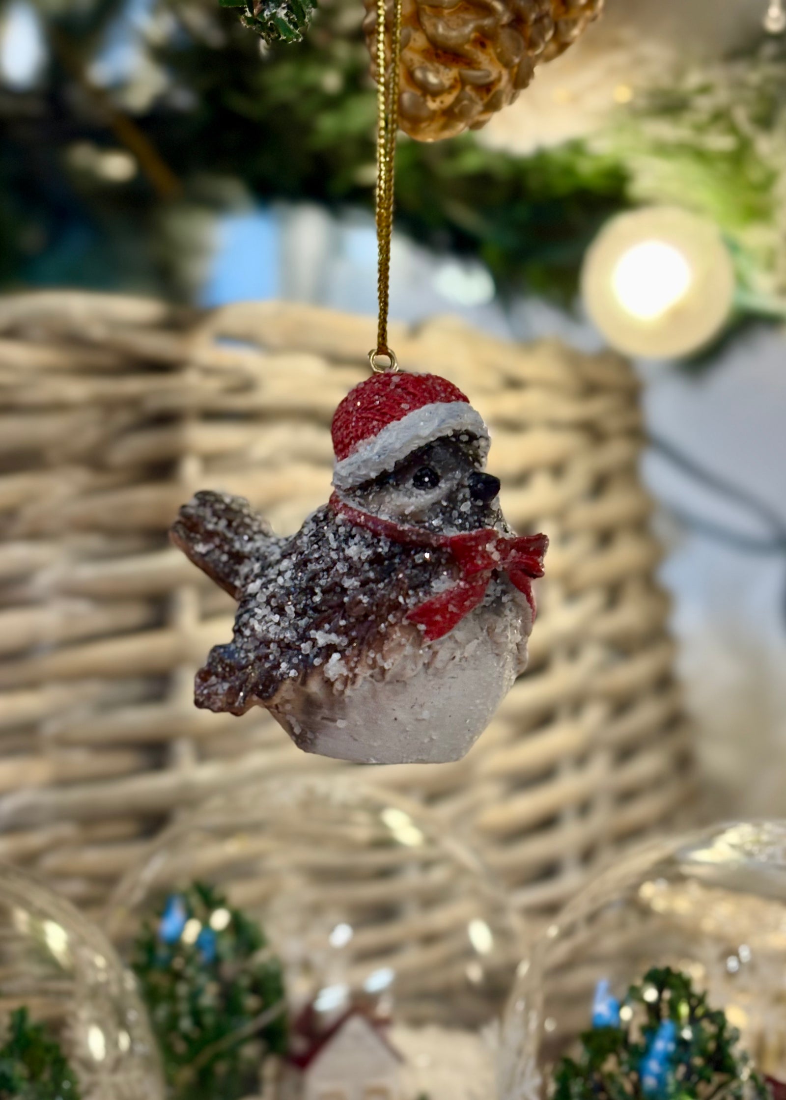 Bird and Stocking Hat