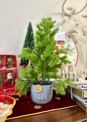 Potted Woodland Fir