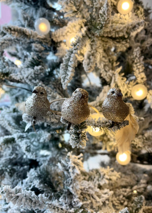 Champagne Glitter Birds