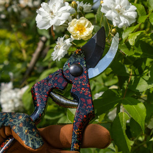 Orange Grove Pruning Shears - Blackthorn