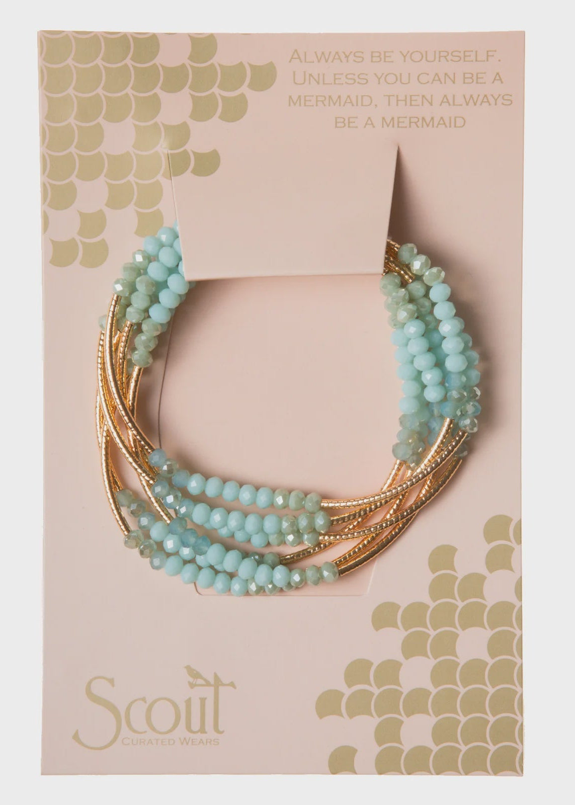 Accessories & Apparel