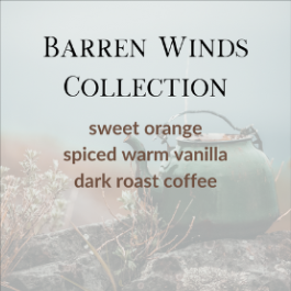 Sea Salt & Twig Hair & Body Oil - Barren Winds