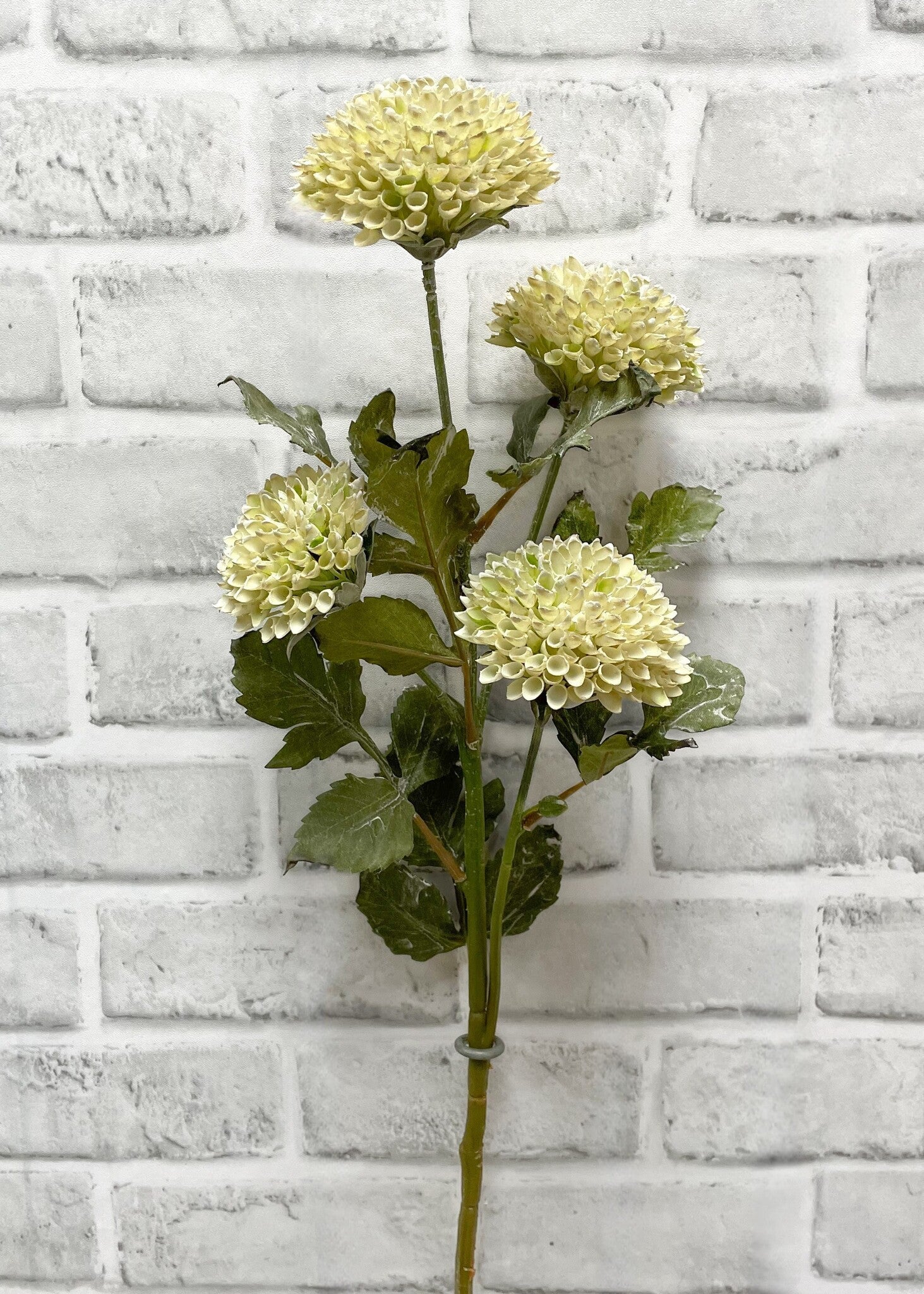 26" Cream Pincushion Stem