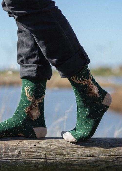 Portrait of a Stag - Wrendale Men's Socks