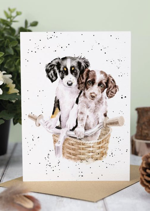 Paws and Pedals - Wrendal Occasion Card