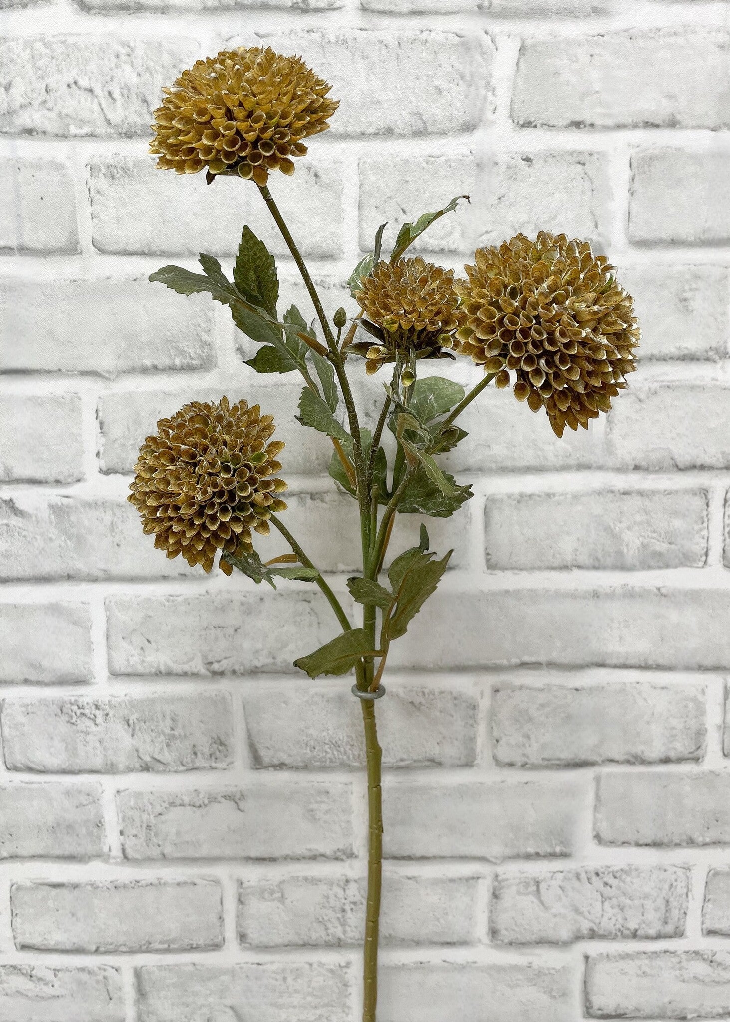 26" Brown Pincushion Stem