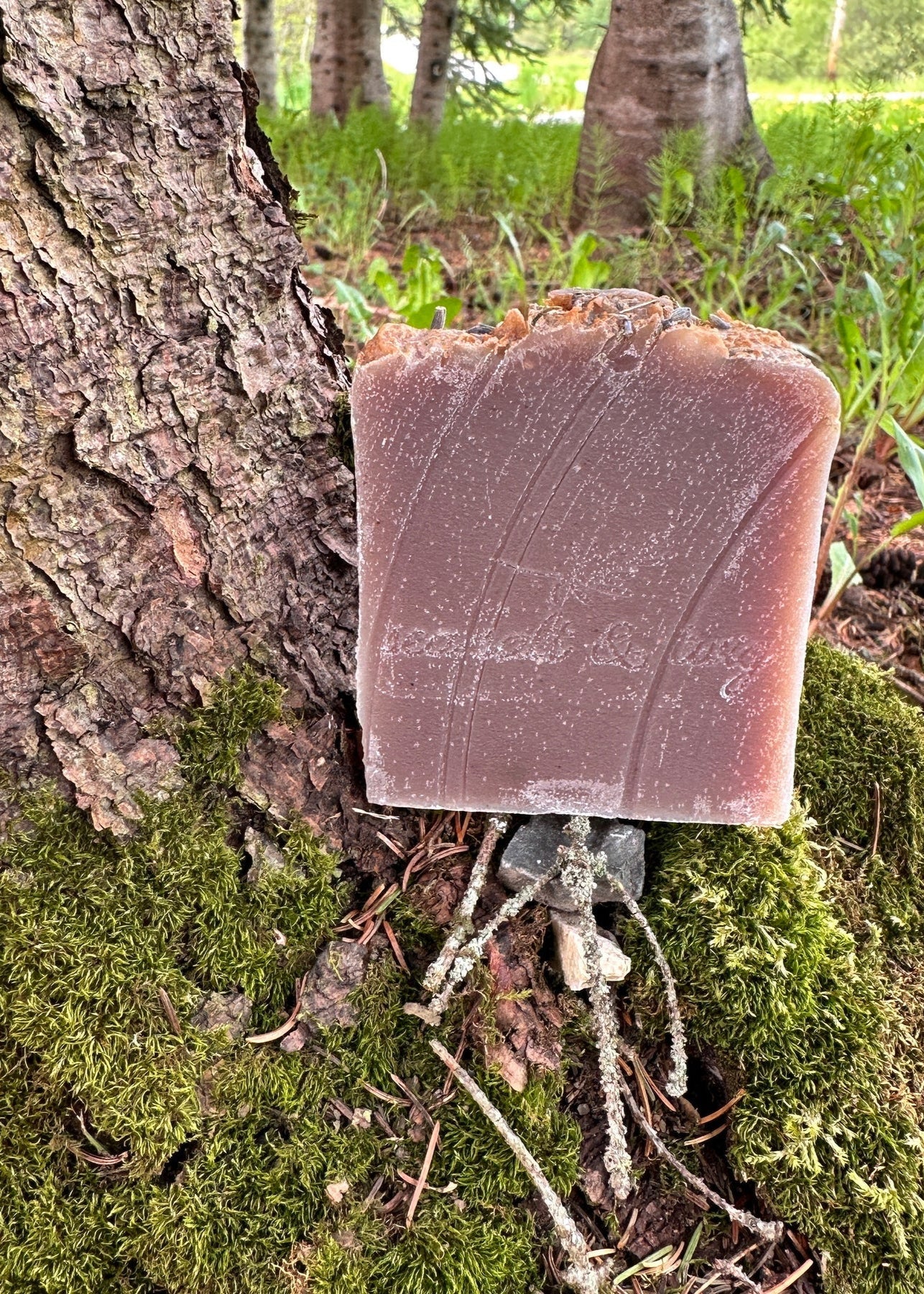 Sea Salt & Twig Infused Soap - Starry Nights