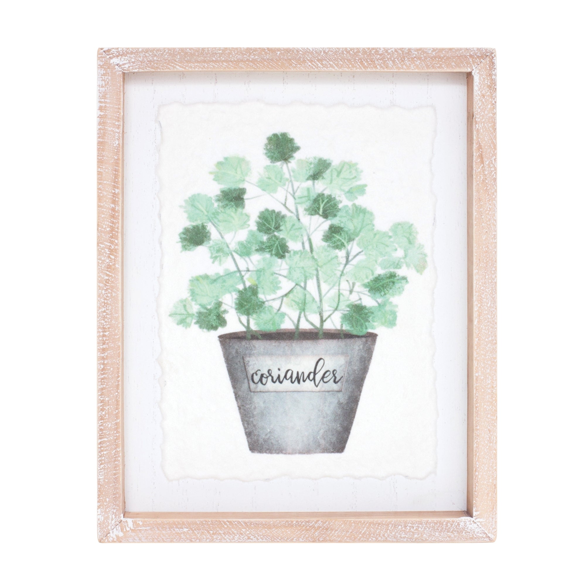 Watercolour Herb Pot Prints