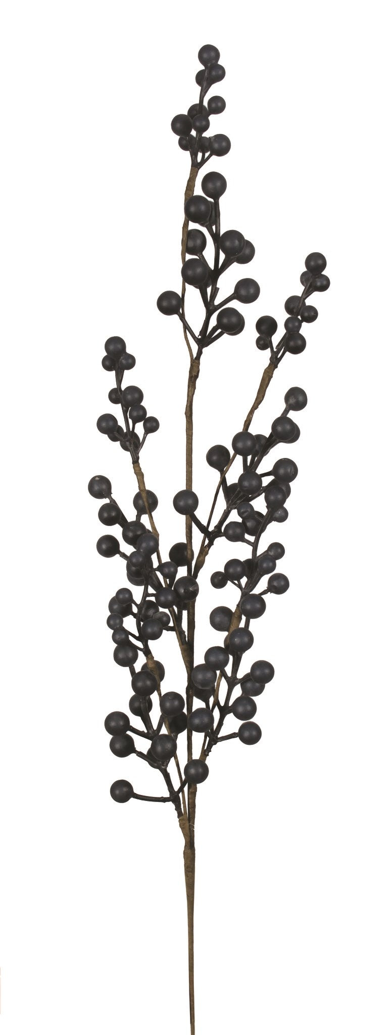 Matte Blueberry Spray