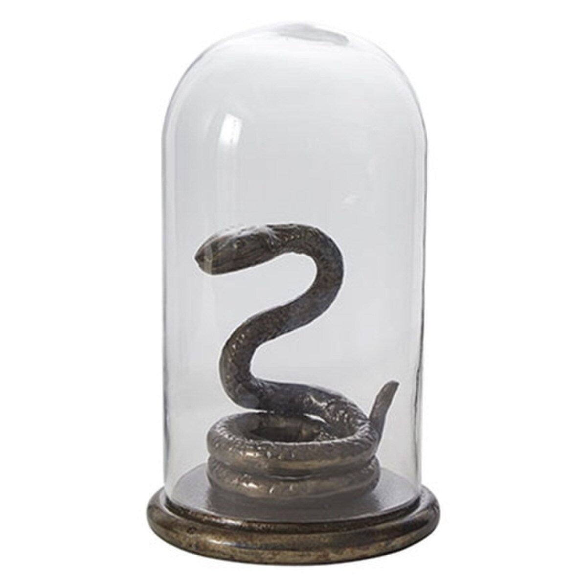 Coiled Snake Cloche