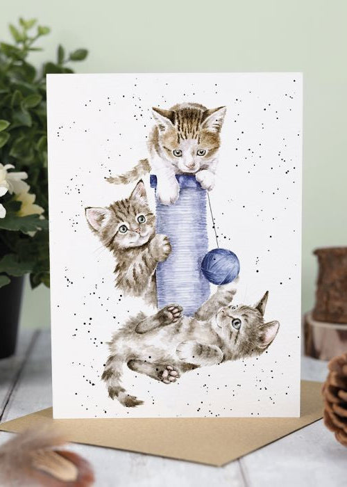 Three's a Crowd - Wrendale Occasion Card