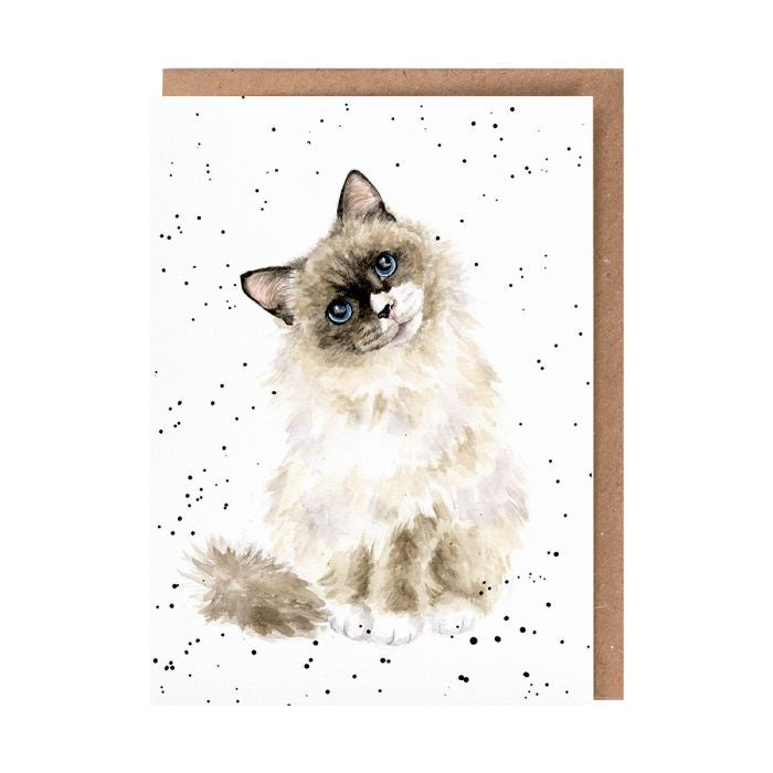 Paws for a Thought - Wrendale Occasion Card