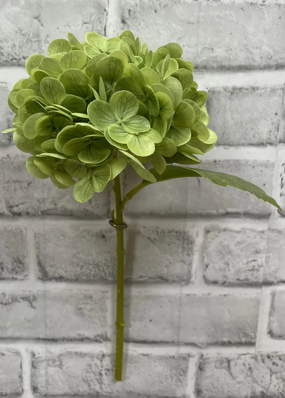 12" Fresh Touch Hydrangea - Green