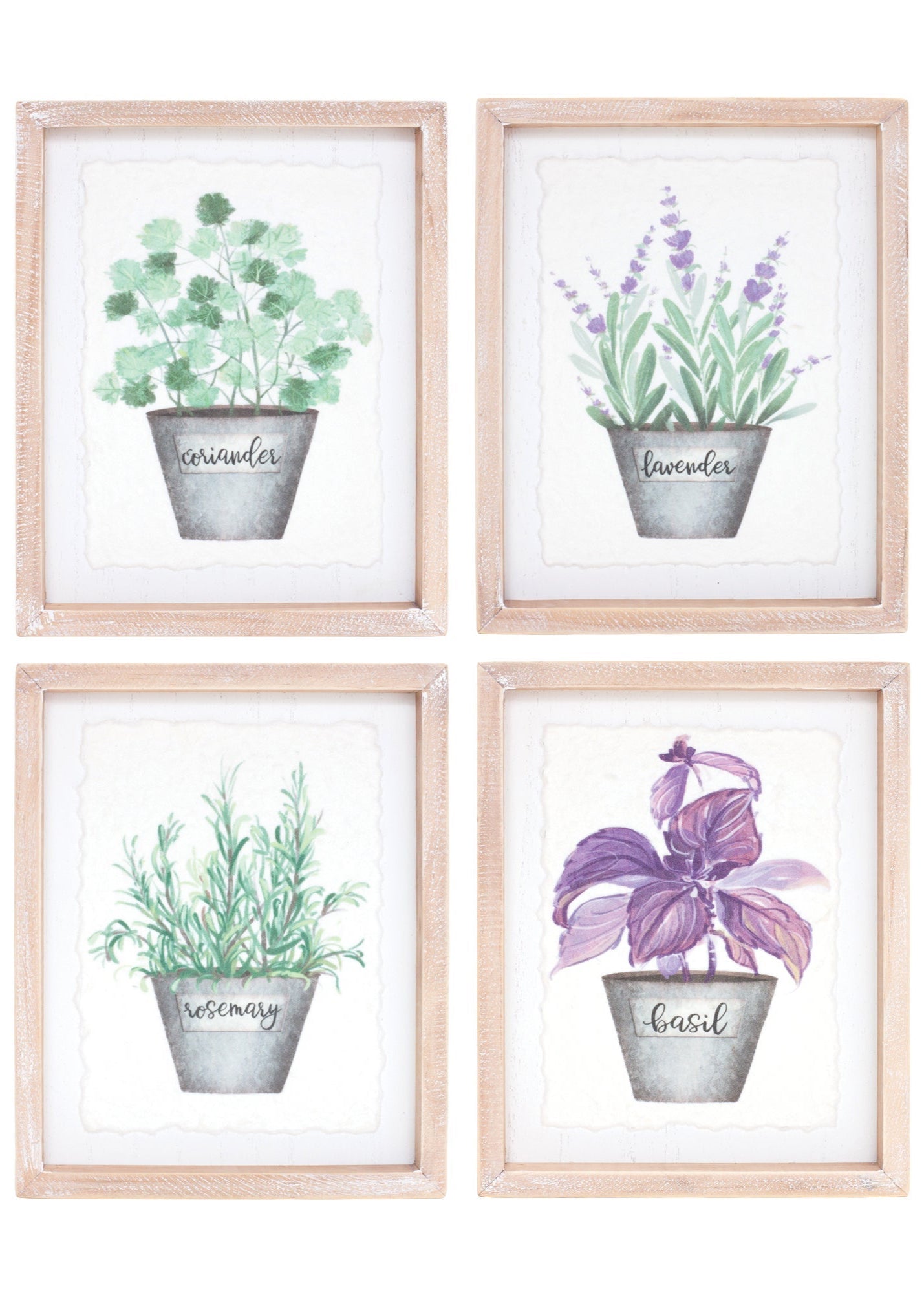 Watercolour Herb Pot Prints