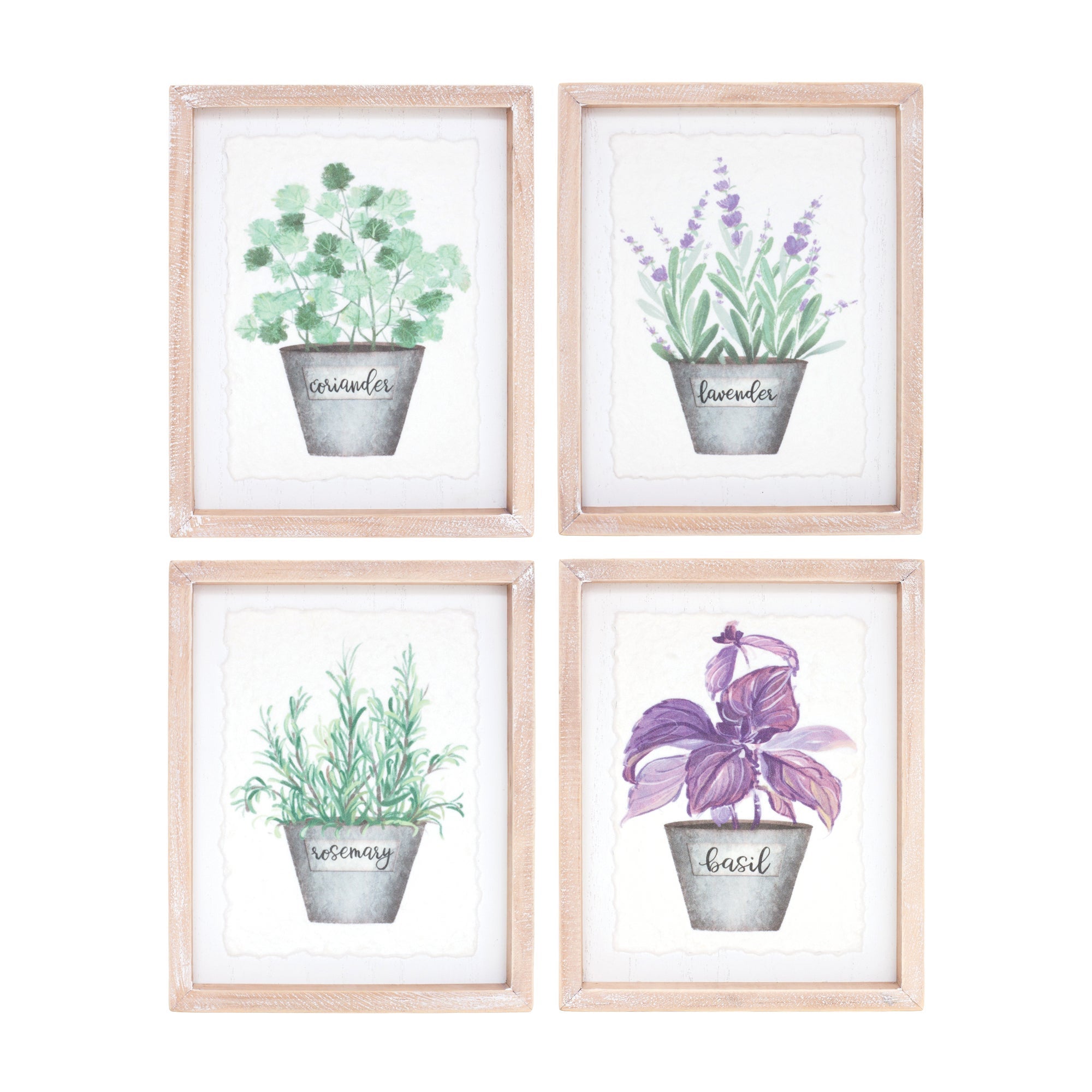 Watercolour Herb Pot Prints