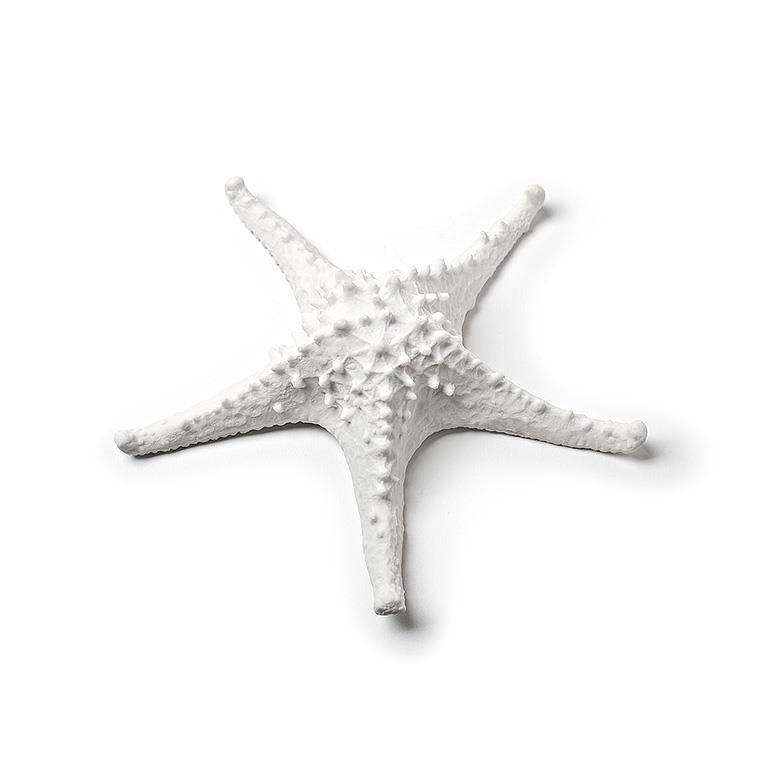 Textured Starfish